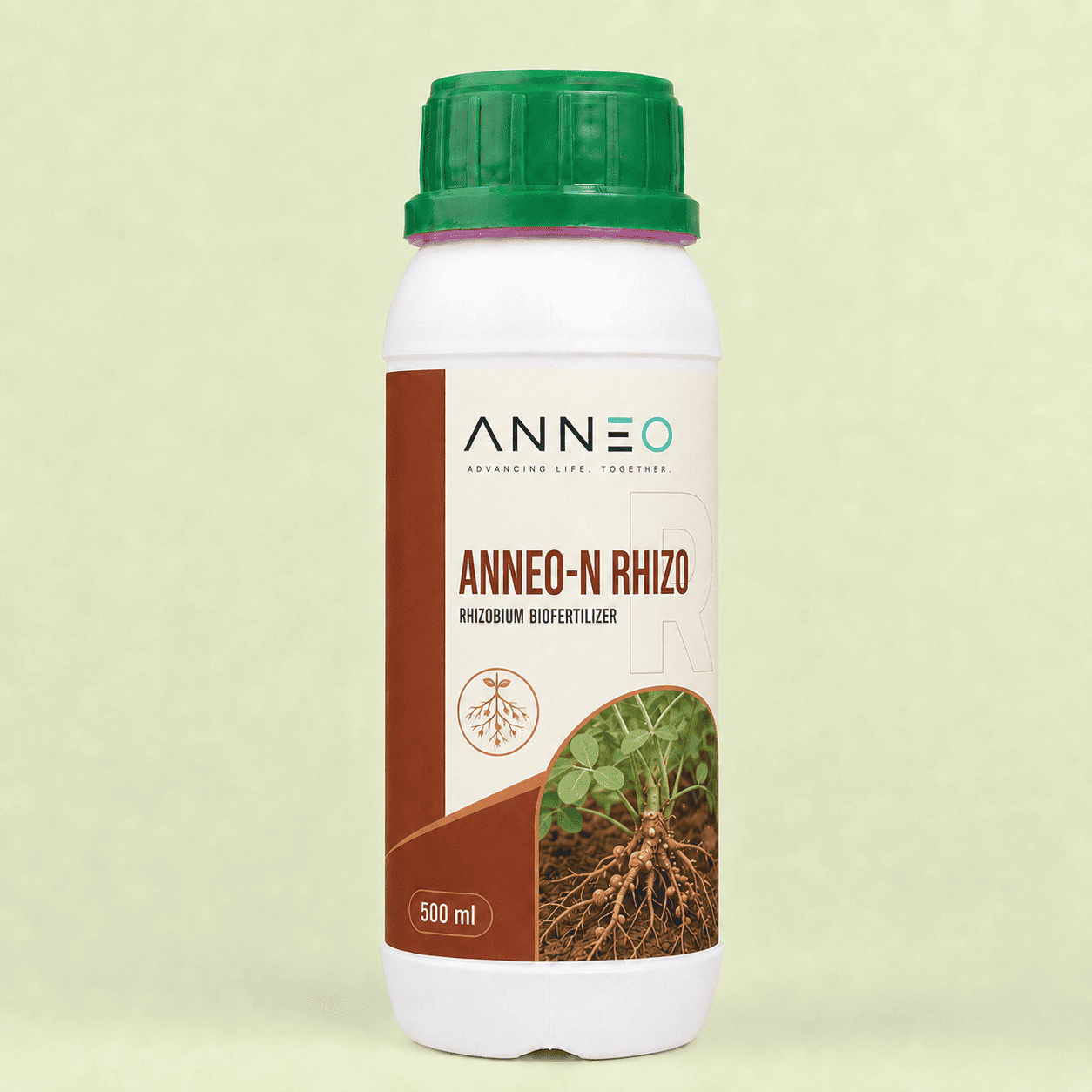 Anneo N Rhizo